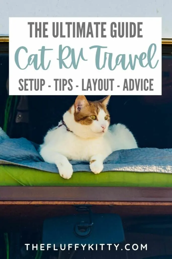 image of cat sitting in window in an rv with text overlay