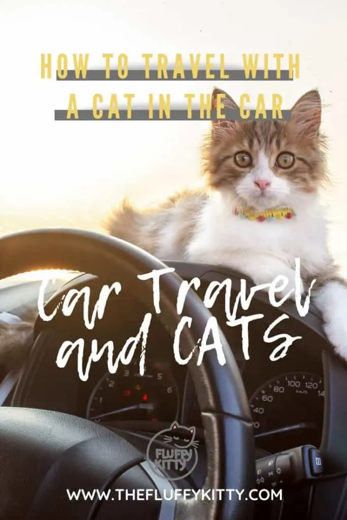 Traveling with a Cat in the Car - Our guide to safe car travel with cats. #cats #travel #cattravel #catlovers The Fluffy Kitty www.thefluffykitty.com