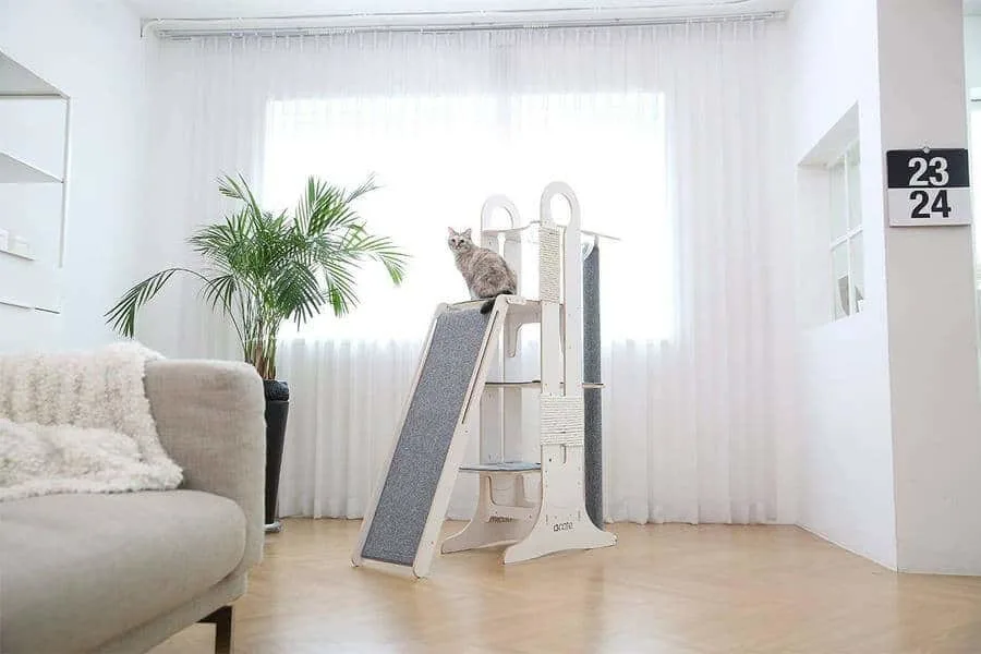 Why Modern Cat Furniture Is Better | Fluffy Kitty