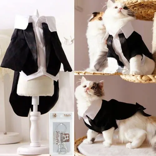 best halloween costumes for cats