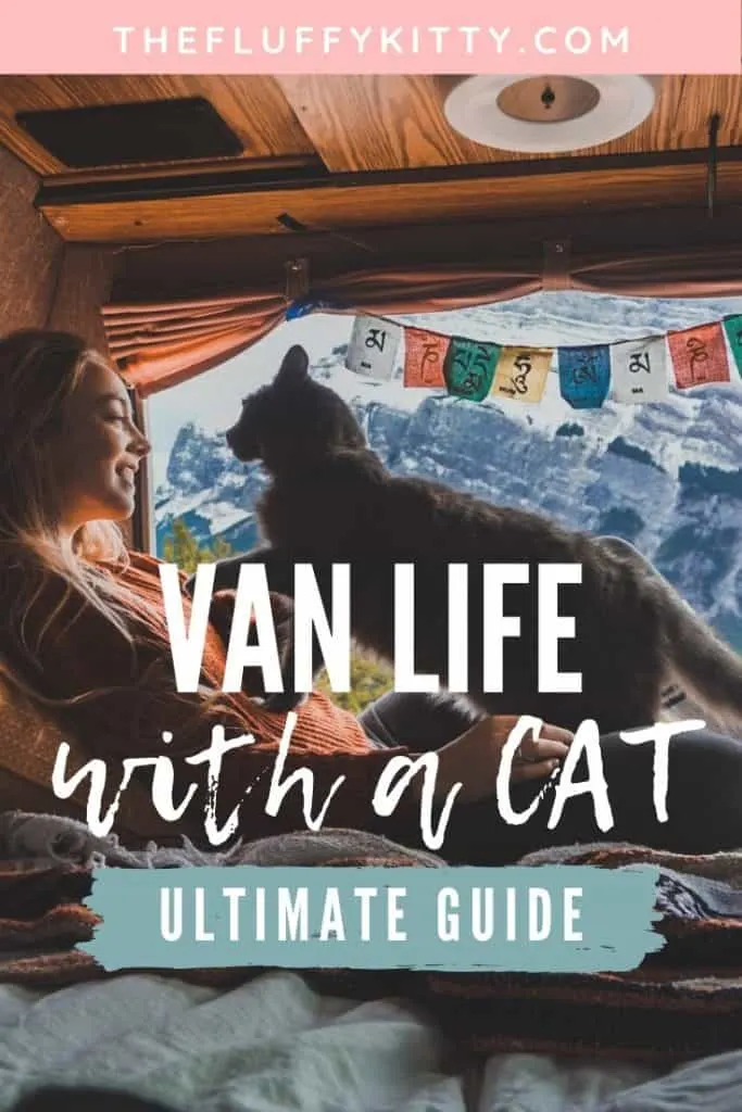 Van Life with Cats: Ultimate guide on how to manage living and traveling full-time with a cat in a camper van. www.thefluffykitty.com @fluffyyoda The Fluffy Kitty #vancat #vanlife #vancatmeow #vanlifewithcats
