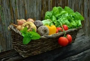 can cats eat vegetables