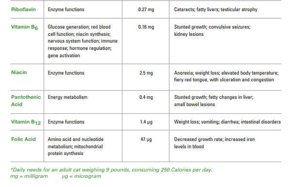 Cat nutrition - Vitamins cats need - Fluffy Kitty 