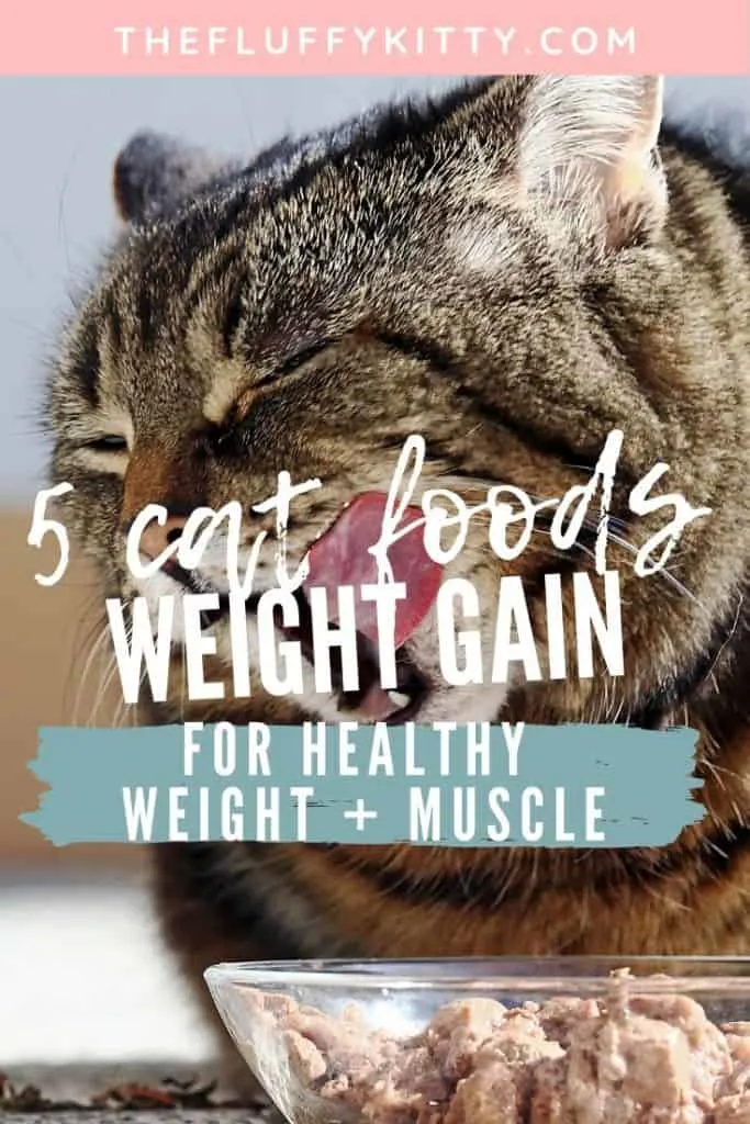 Best Cat Foods for Healthy Weight Gain in Cats #cats #catfood #catnutrition #cathealth Guide by The Fluffy Kitty www.thefluffykitty.com