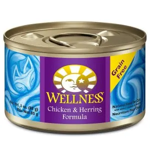Best Cat Food for Urinary Tract Health | Fluffy Kitty