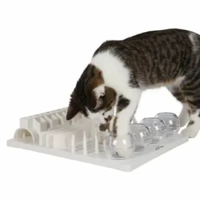 Best Christmas Gifts for Cats/Fluffy Kitty