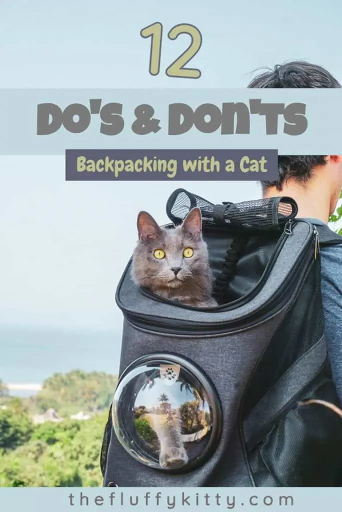 12 Do's & Don'ts of Backpacking with a Cat | Guide by Fluffy Kitty blog www.thefluffykitty.com