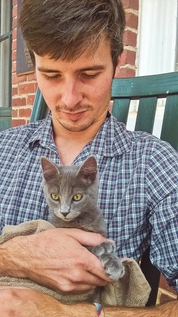 Our Journey Becoming Sustainable Cat Owners // Fluffy Kitty Blog thefluffykitty.com