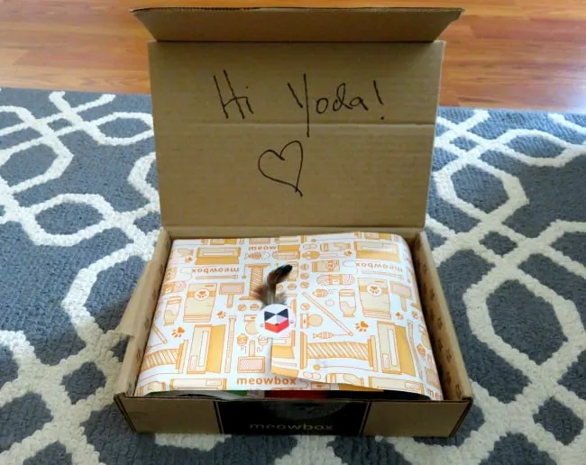 meowbox review