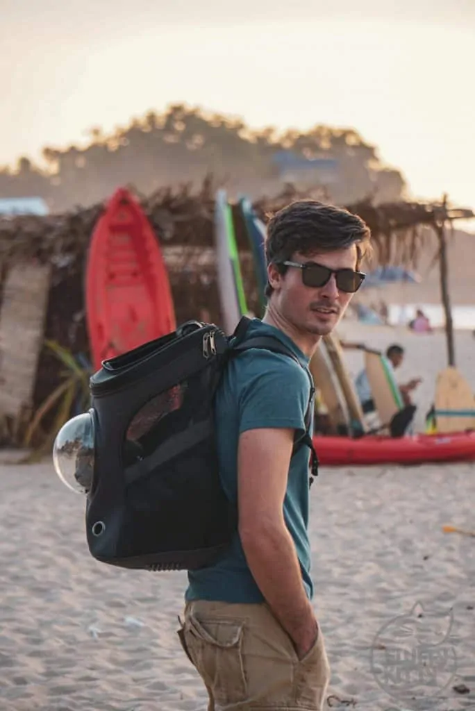 Fat Cat Backpack Review by Fluffy Kitty Blog | my-cat-furniture.com