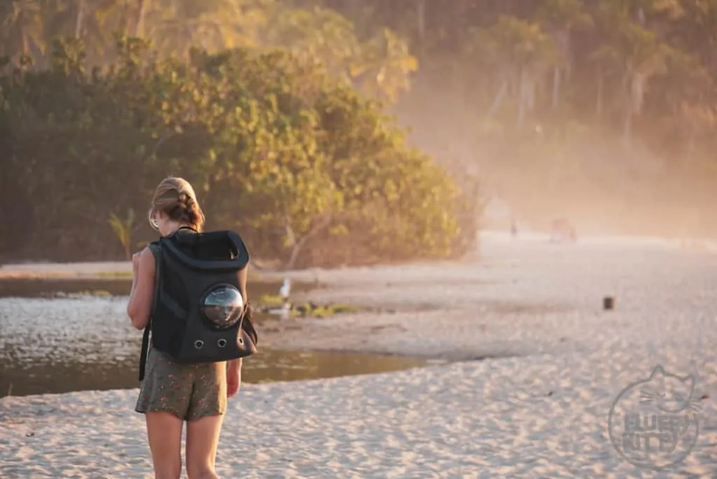 Fat Cat Backpack Review by Fluffy Kitty Blog